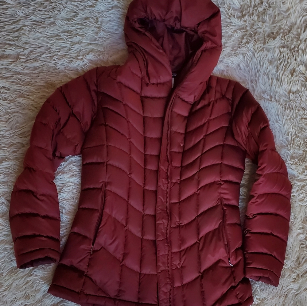 patagonia down hooded puffer jacket